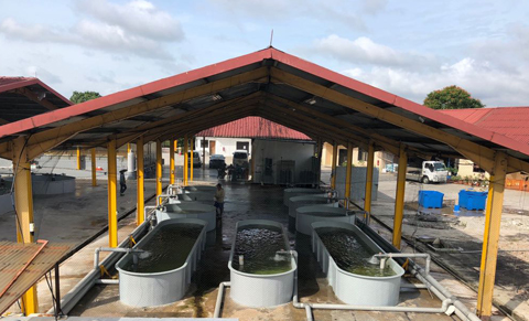 ecoWise Breaks New Ground by Incorporating Sustainable Concepts into Aqua and Agricultural Ecosystems