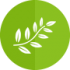 生物燃料制备和绿科专利堆肥技术