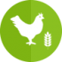 Animal Feed Additives & Ingredients